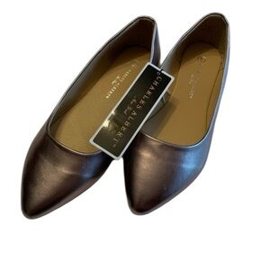 Charles Albert Shoes Size 6 Gold Color NWT Flats
